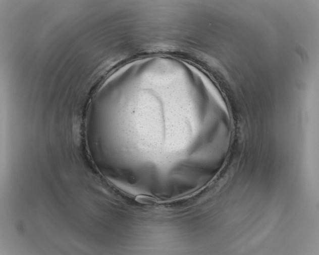 X0000113611217200910091534