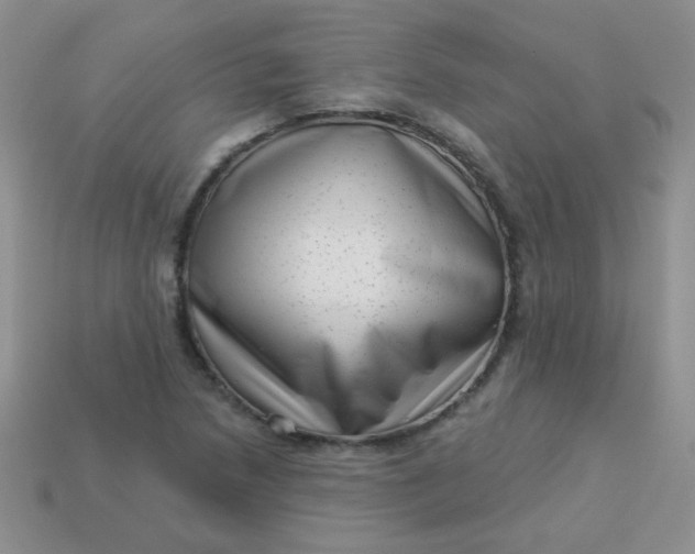 X0000113611218200910091534