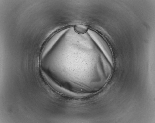 X0000113611220200910091534