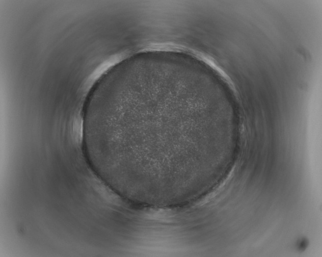 X0000113611221200910091534