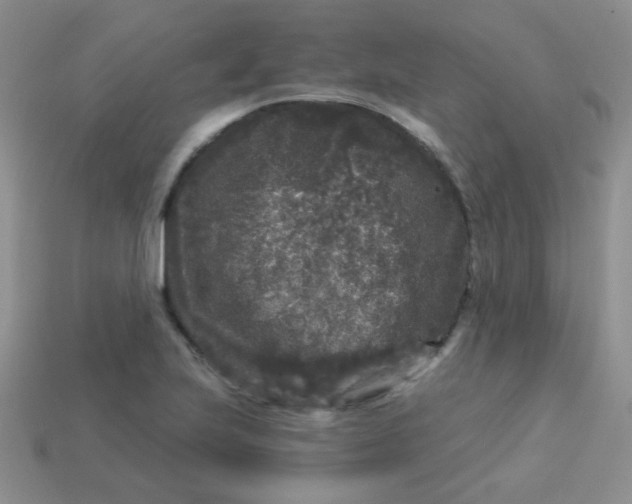 X0000113611223200910091534