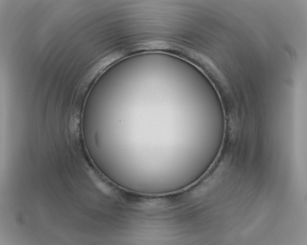 X0000113611225200910091534