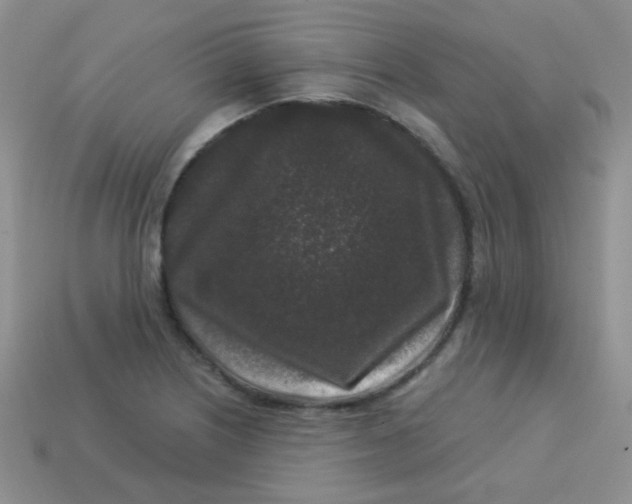 X0000113611226200910091534