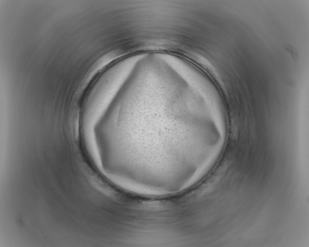 X0000113611227200910091534