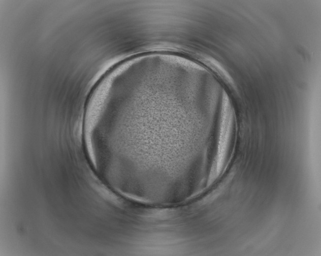 X0000113611228200910091534