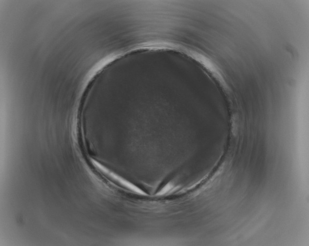 X0000113611229200910091534