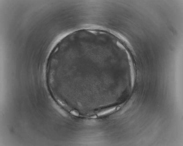 X0000113611231200910091534