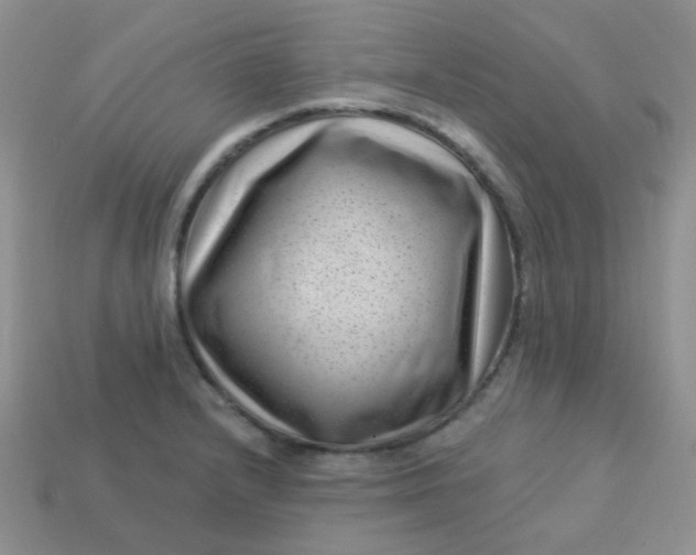 X0000113611232200910091534