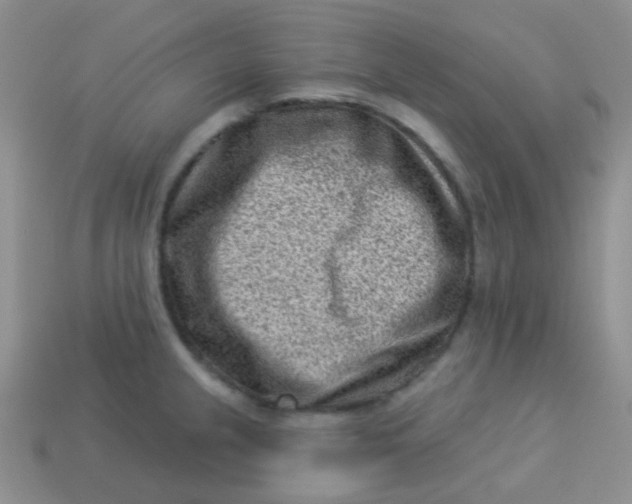 X0000113611237200910091534