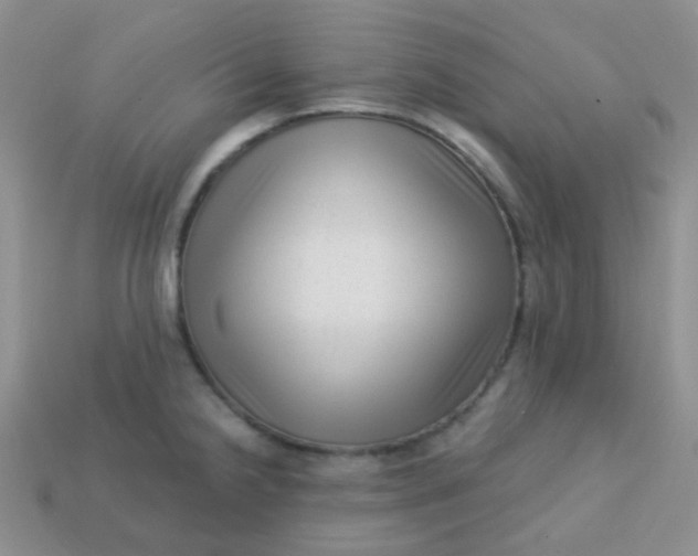 X0000113611238200910091534