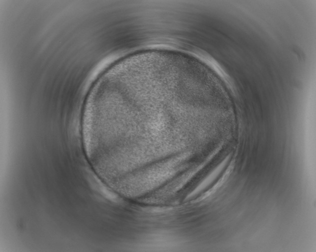 X0000113611240200910091534