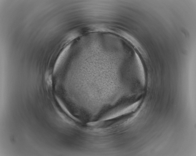 X0000113611241200910091535