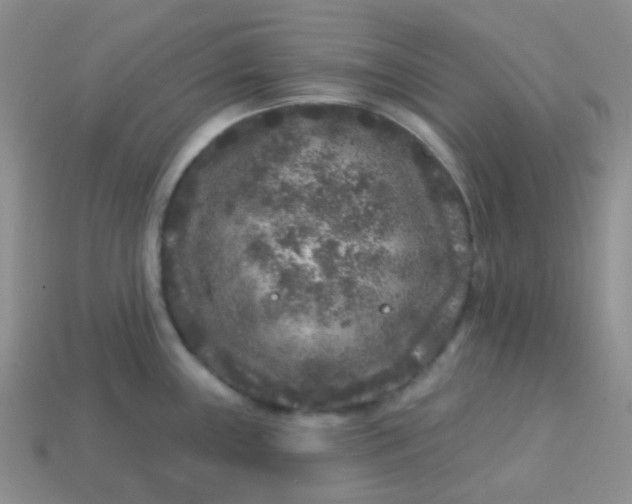 X0000113611243200910091535