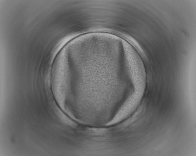 X0000113611244200910091535