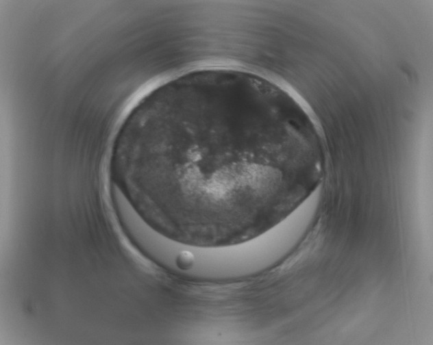 X0000113611245200910091535