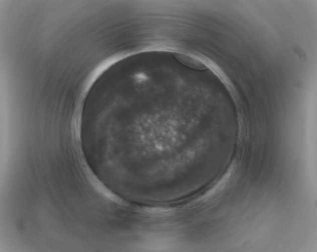 X0000113611246200910091535