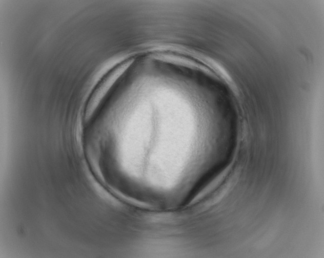 X0000113611247200910091535