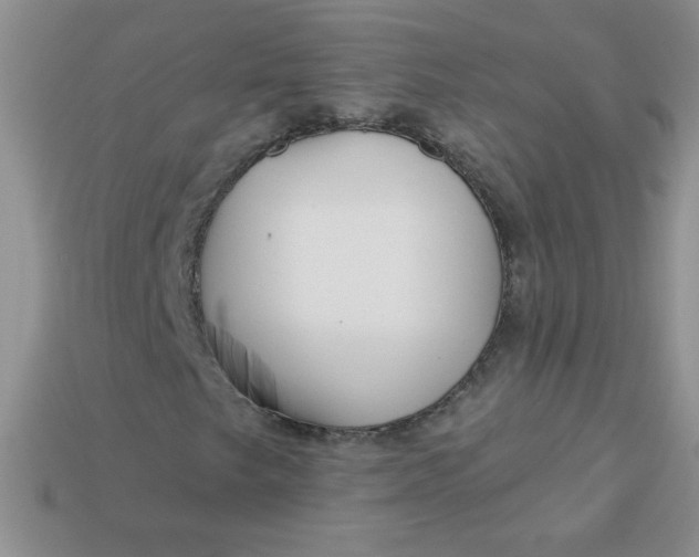 X0000113611249200910091534