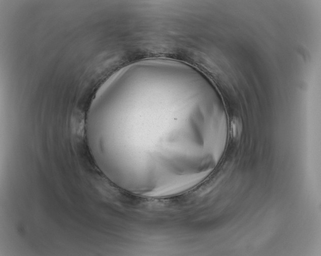 X0000113611251200910091534