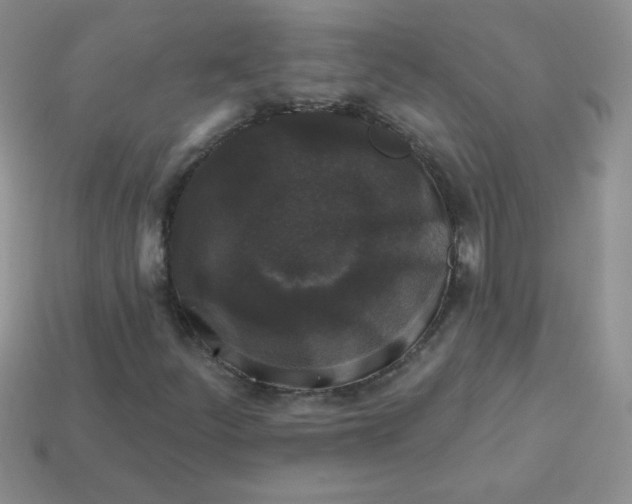 X0000113611252200910091534