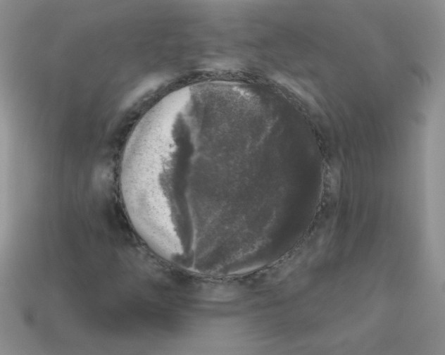 X0000113611254200910091534