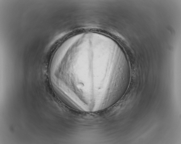 X0000113611255200910091534