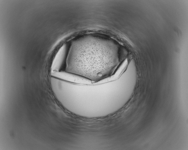 X0000113611256200910091534