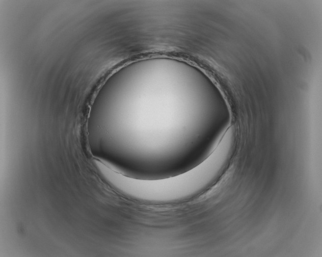 X0000113611257200910091534