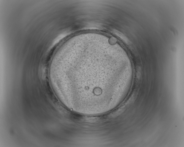 X0000113611258200910091534