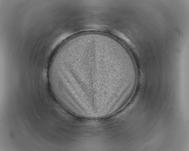 X0000113611259200910091534