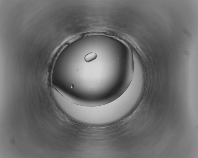 X0000113611260200910091534