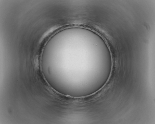 X0000113611262200910091534