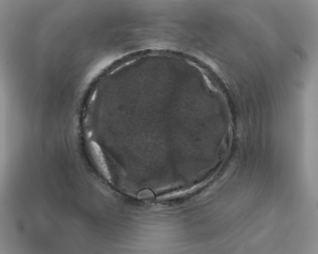 X0000113611263200910091534