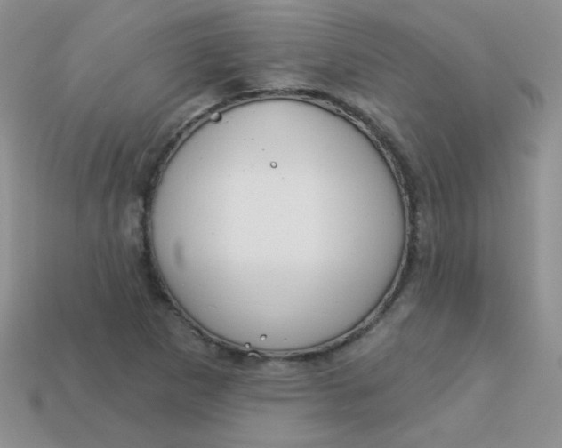 X0000113611265200910091534