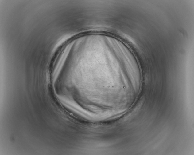 X0000113611267200910091534