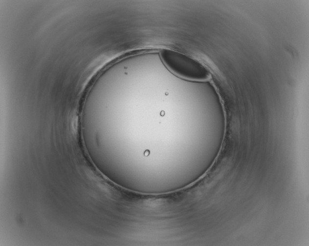 X0000113611268200910091534