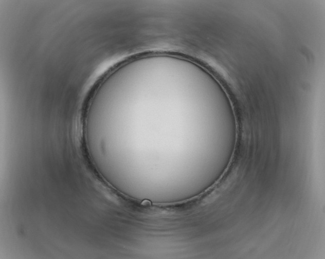 X0000113611270200910091534