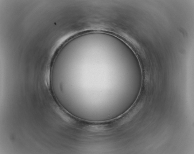 X0000113611272200910091534