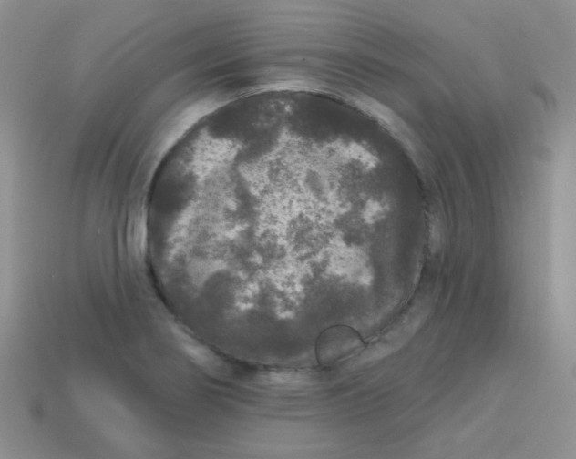 X0000113611274200910091534