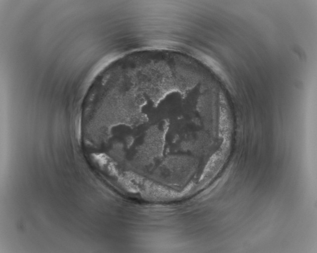 X0000113611275200910091534