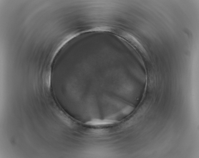 X0000113611276200910091534