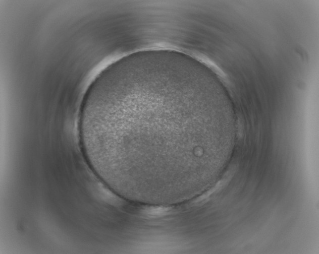 X0000113611278200910091534