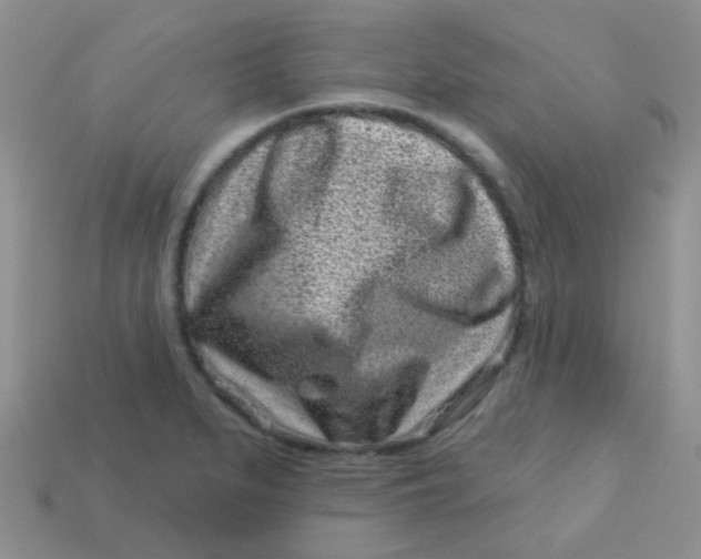 X0000113611279200910091534