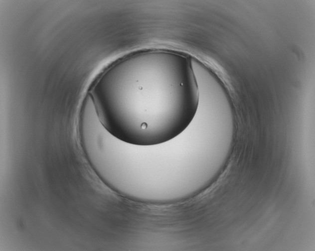 X0000113611280200910091534