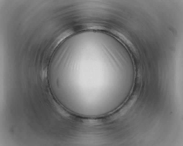 X0000113611281200910091534