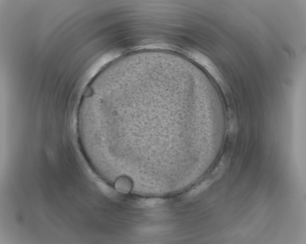 X0000113611282200910091534