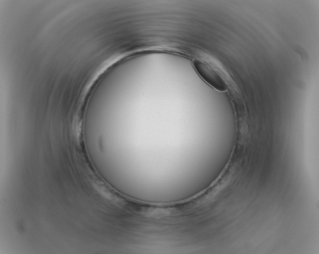 X0000113611284200910091534