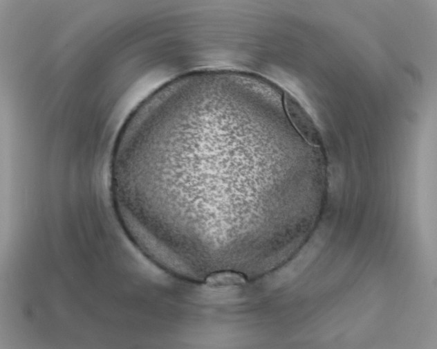 X0000113611285200910091534