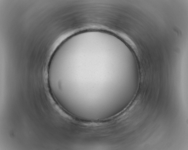 X0000113611287200910091533