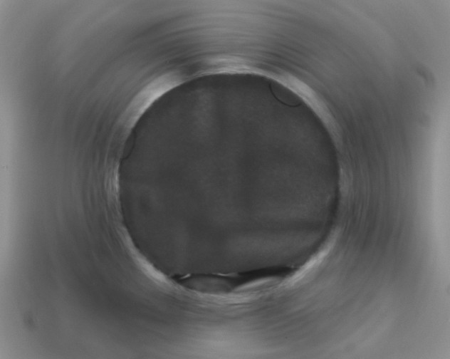 X0000113611289200910091533